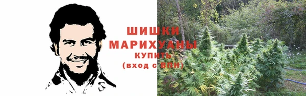 PSILOCYBIN Алексеевка