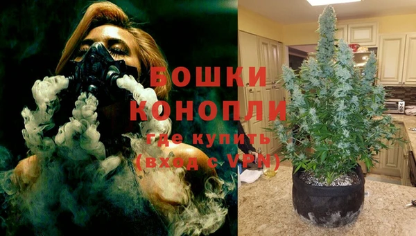 PSILOCYBIN Алексеевка