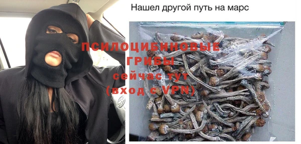PSILOCYBIN Алексеевка