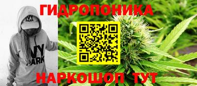 спиды Ливны