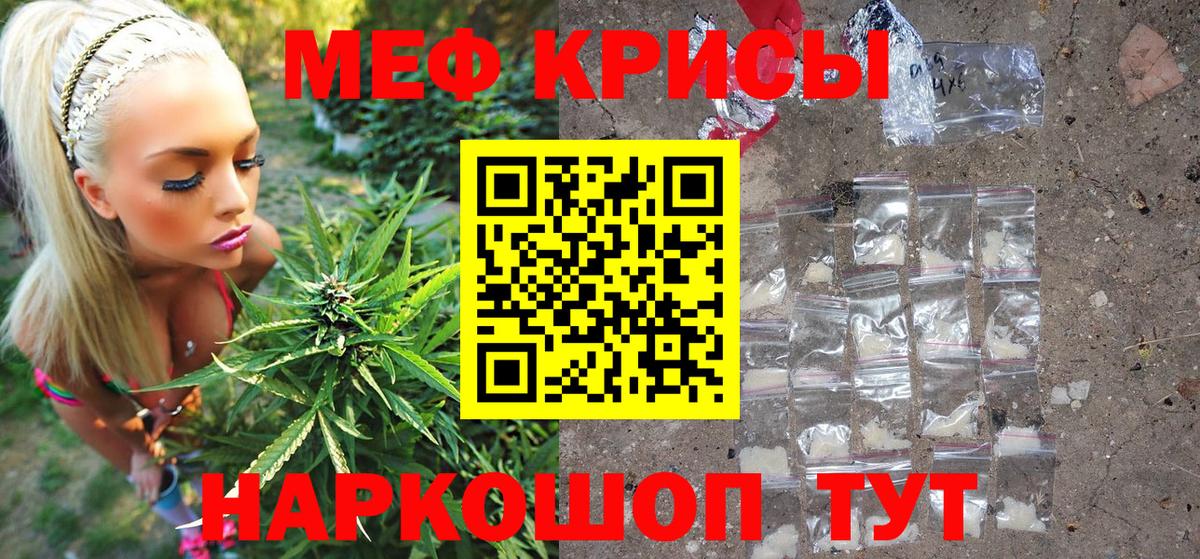 Светлоград  МЕФ  Вход с VPN  МЕФ мяу мяу 