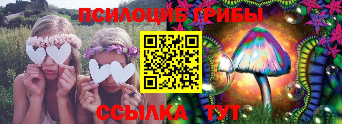 Светлоград  Галлюциногенные грибы MAGIC MUSHROOMS  Вход с VPN 